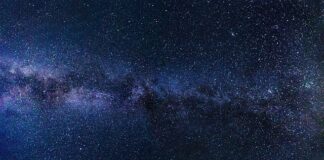 Jaki kolor tła do akwarium?