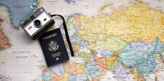 Ile się czeka na paszport dla psa w Polsce?