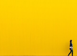 Od czego jest żółta wodą w akwarium?