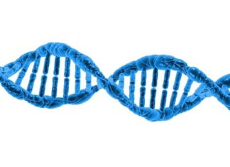 Z czego robi się dna moczanowa? Z czego robi się dna moczanowa?