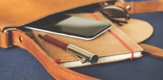 Kto odpowiada za porządek na działce?