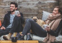 Czy pies lubi jeździć samochodem?