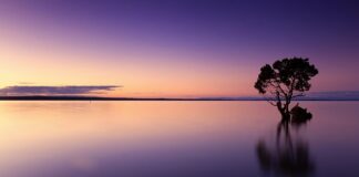 Co zamiast wody kokosowej?