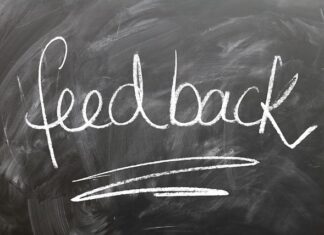 Jak rozmawiać ze świnka morska?