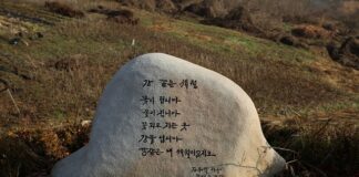 Czy zeolit zatwardza wodę?