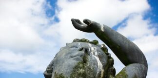 Czy odchody królika są szkodliwe?