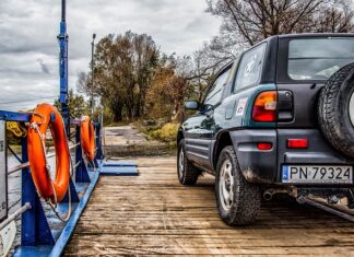 Jak przewozić dwa koty?