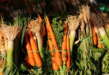 Co wchodzi w skład włoszczyzny? Co wchodzi w skład włoszczyzny?