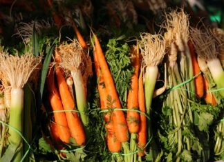 Co to jest włoszczyzna i kto ją sprowadził do Polski?