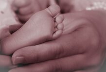 Czy można jeść nóżki od pieczarek?