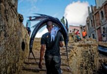 W jakim wieku pies może chodzić po schodach?