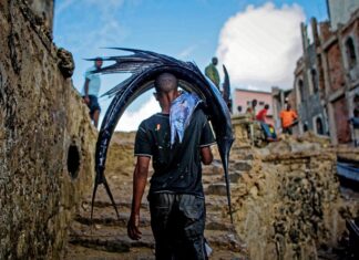 W jakim wieku pies może chodzić po schodach?