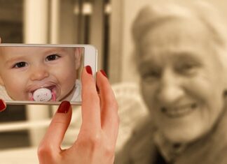 Jaka jest różnica między wiśnia a czereśnia?