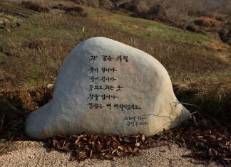 Gdzie umieścić zeolit w filtrze?