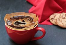 Po co filtr biologiczny w akwarium? Po co filtr biologiczny w akwarium?