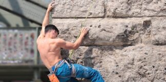 Ile kosztuje ścianka do terrarium?