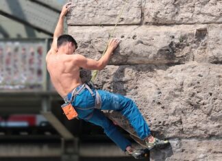 Ile kosztuje ścianka do terrarium? Ile kosztuje ścianka do terrarium?