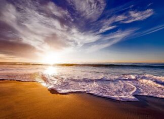 Czy picie wody kokosowej jest zdrowe?