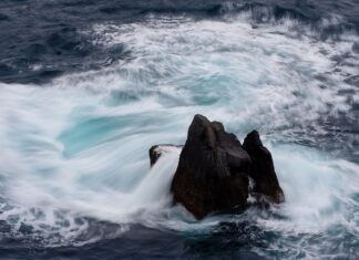 O co chodzi z ceną czereśni?
