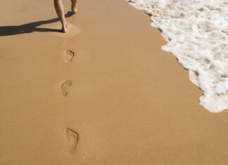 Co to jest wydruk cukrowy? Co to jest wydruk cukrowy?