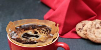 Czy w akwarium musi być filtr?