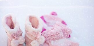 W czym prać ubranka dla psa?