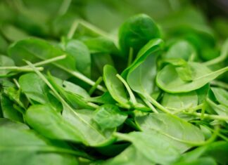 Czy można codziennie jeść szpinak?