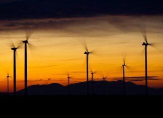 Kiedy wymienić wirnik w filtrze? Kiedy wymienić wirnik w filtrze?