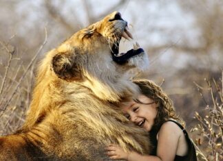 Gdzie w Polsce jest najlepsza woda z kranu?