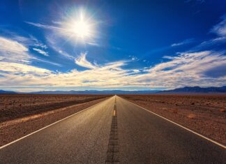 Co się dzieje po śmierci kota?